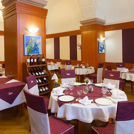 Hotel Arany Barany 3*